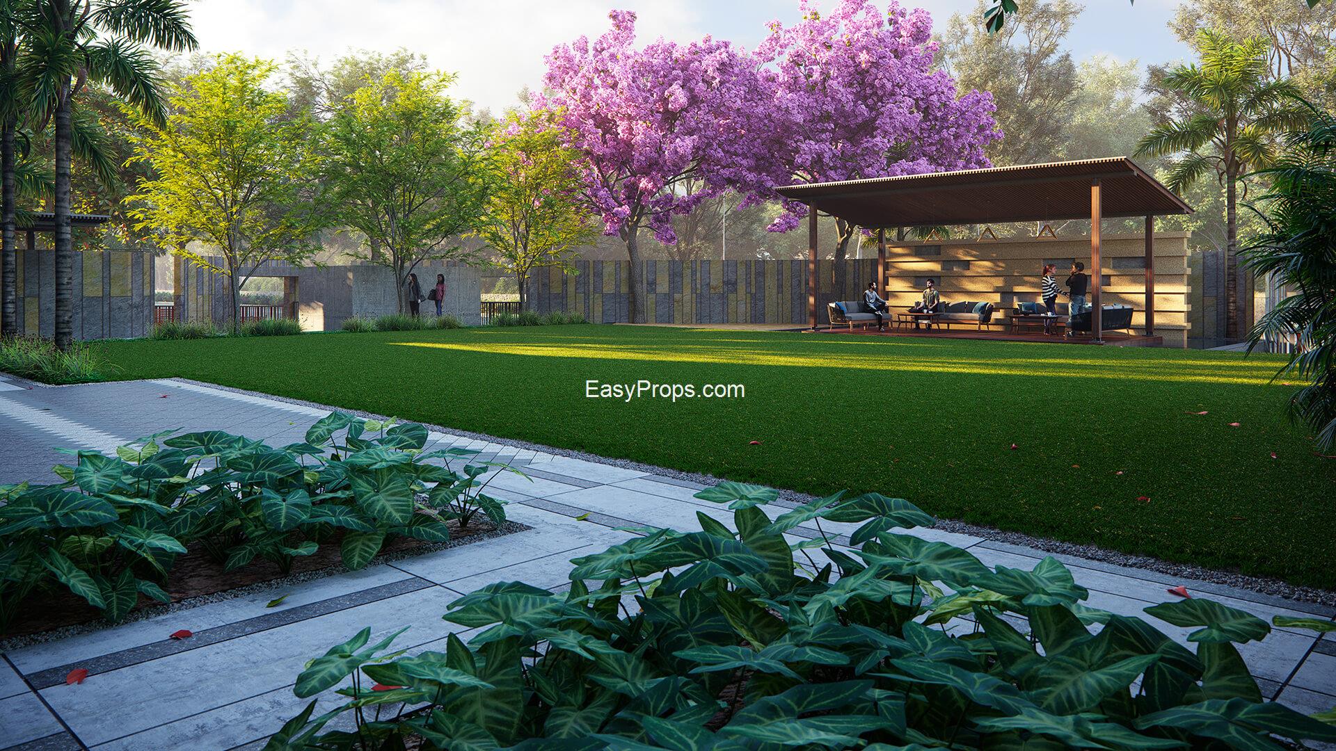 garden_view2 (1)_20250305130208465.jpg